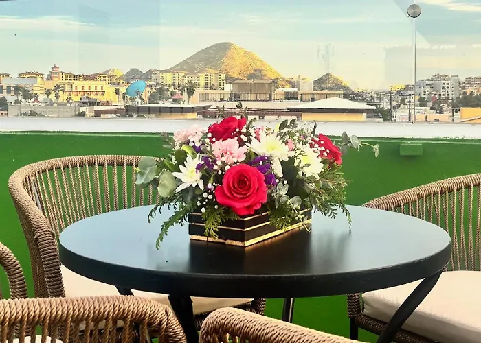 Palmeras Cabos