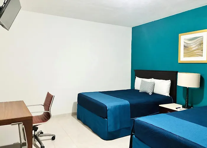 Palmeras Cabos